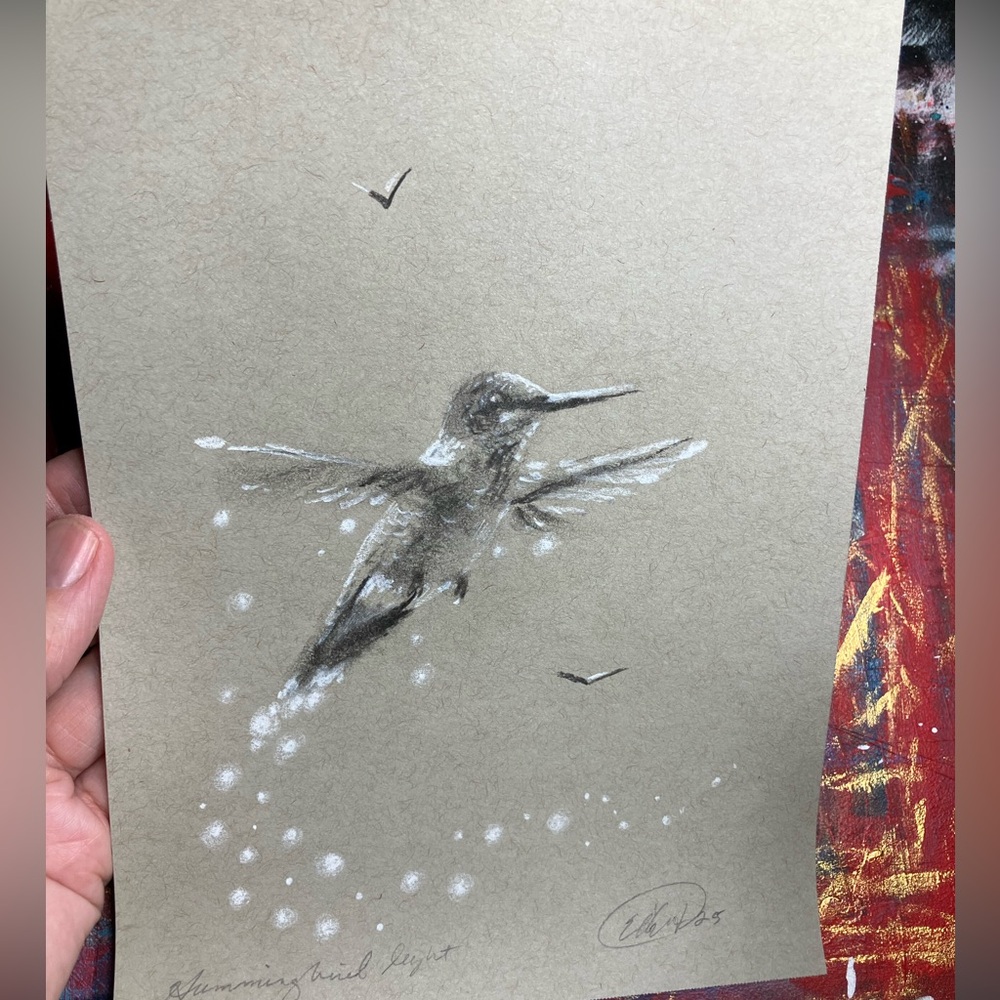 Original Hummingbird painting pastel charcoal bird‎ art Artettina wildlife USA